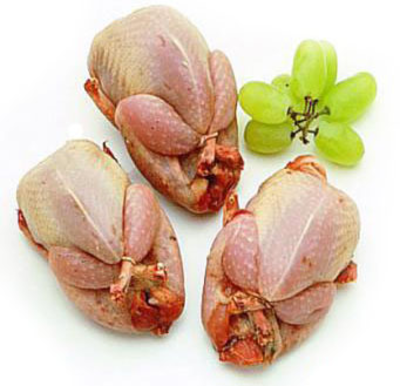 benefits of eating quail